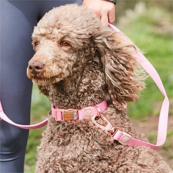 Weatherbeeta Elegance Dog Collar - Pink